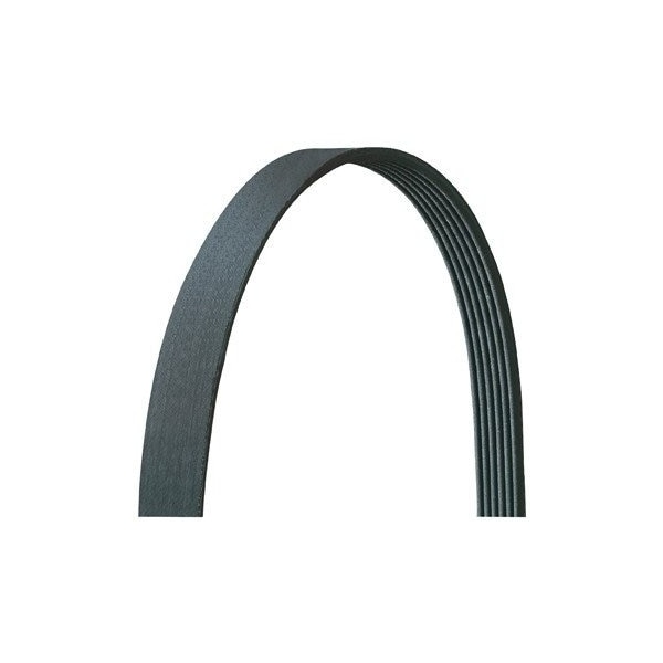 Dayco V-Ribbed Belt Belts/Hose, 5040323Dr 5040323DR